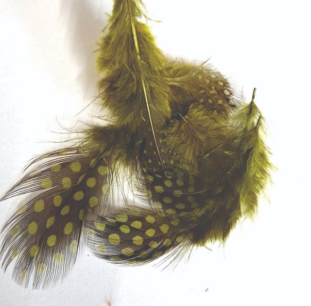 ft-fea-veni-guifo-olive.jpg