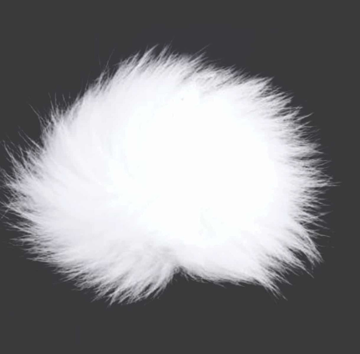 ft-fox-veni-artic-white-c10.jpg