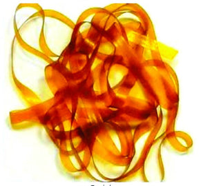 ft-ftd-lab-bbb-gold_2.jpg