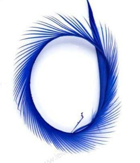 ft-gobi-09-blue.jpg