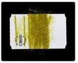 ft-syb-270708-gool-15_chenille_vibrant_golden_olive_15mm.jpg
