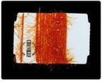 ft-syb-270720-buor-15_chenille_vibrant_burnt_orange_15mm.jpg