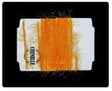 ft-syb-270729-fylo-15_chenille_vibrant_fluro_yellow_orange_15mm.jpg