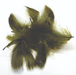 ft0fea-veni-mdgfl-olive.jpg
