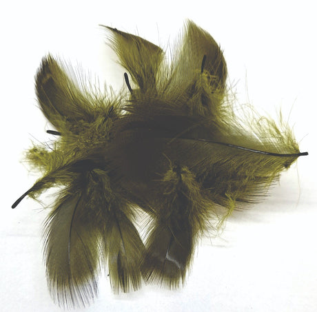 ft0fea-veni-mdgfl-olive.jpg