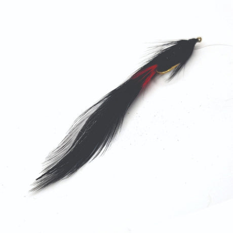 fw-wet-doro-bkbkrd-08_dorothy_black_black_red_8.jpg