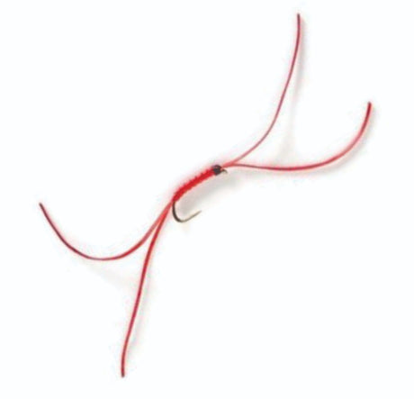 fw-worm-n50-14_bloodworm_red_apps_14_n50__2.jpg