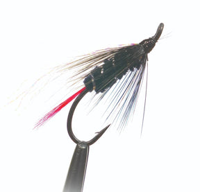 fw21bb.jpg