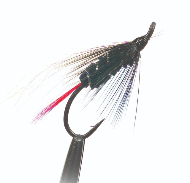 fw21bb.jpg