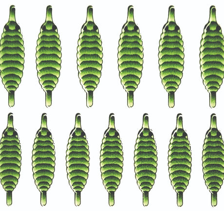 gammarus_back_green_3.jpg