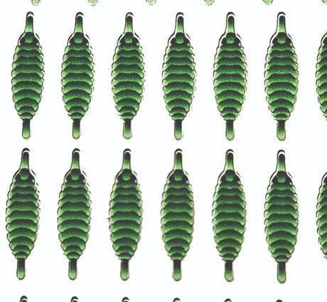 gammarus_back_olive.jpg