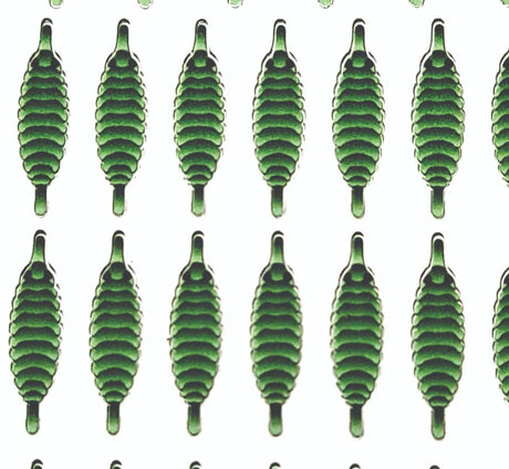 gammarus_back_olive_1.jpg