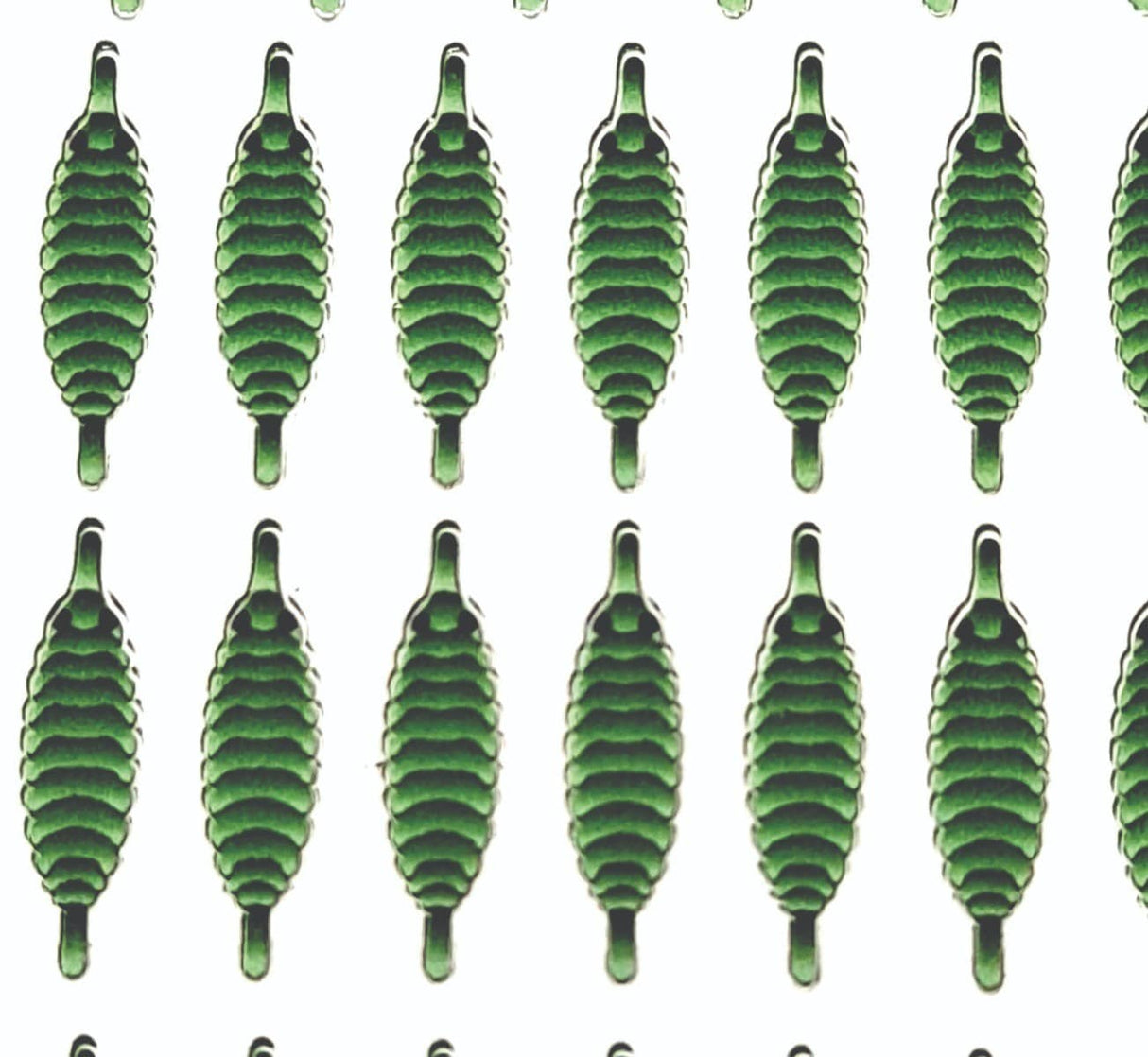 gammarus_back_olive_2.jpg