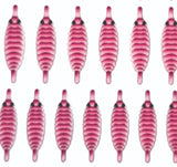 gammarus_back_pink_1.jpg