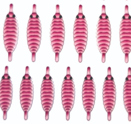 gammarus_back_pink_1.jpg