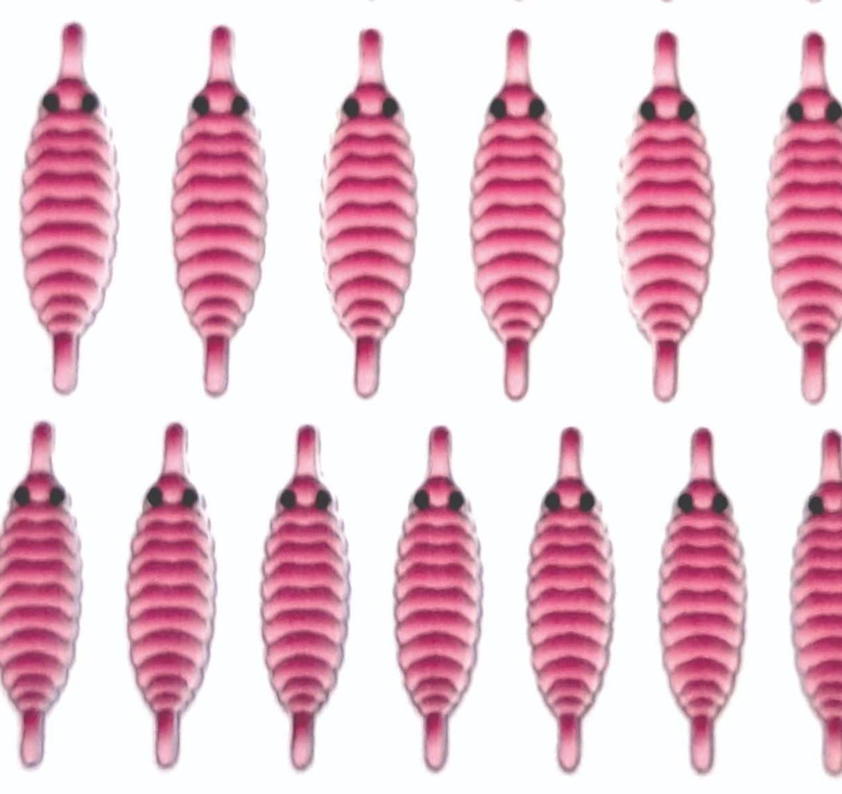 gammarus_back_pink_3.jpg