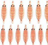 gammarus_back_salmon_1.jpg