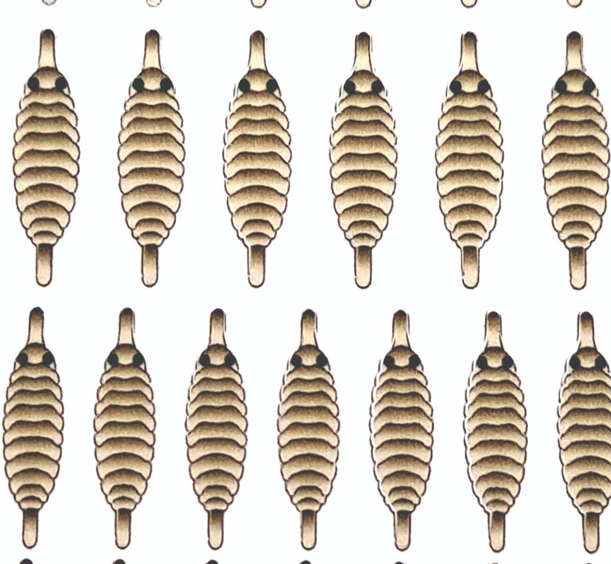 gammarus_back_tan_2.jpg
