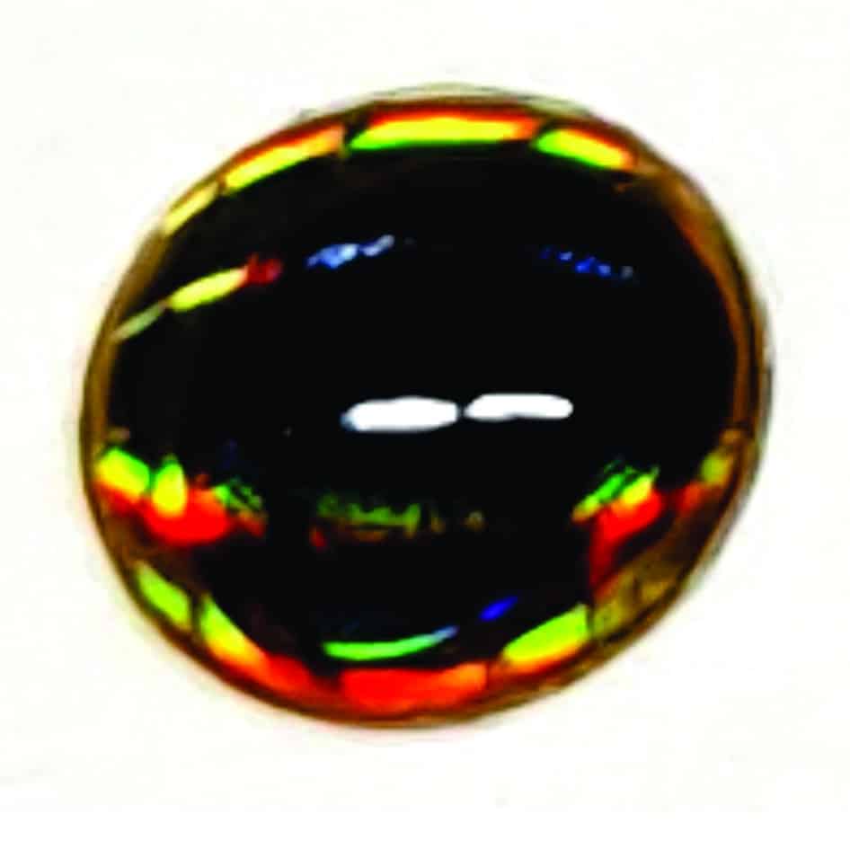 gold_black_1.jpg