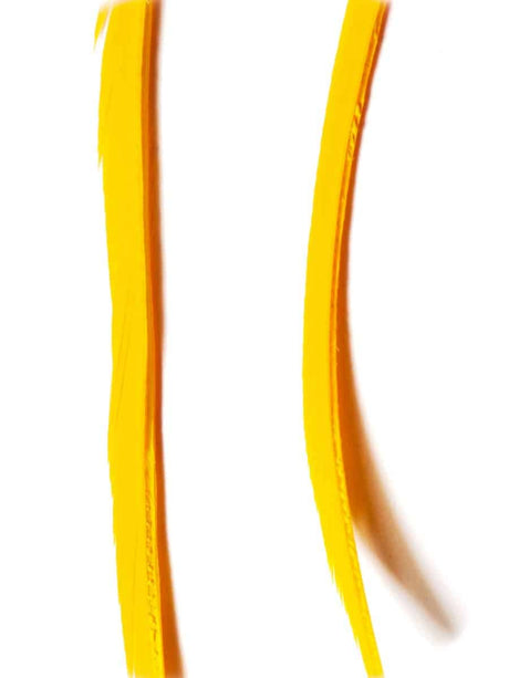 goose_biots-amber.jpg