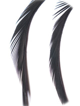 goose_biots-black.jpg