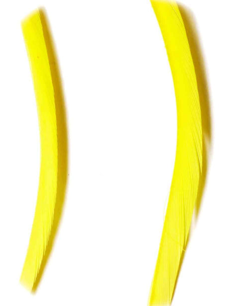 goose_biots-bright_yellow.jpg