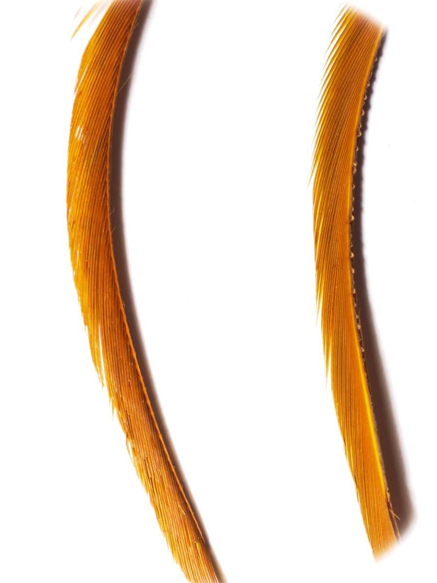 goose_biots-cinnamon.jpg