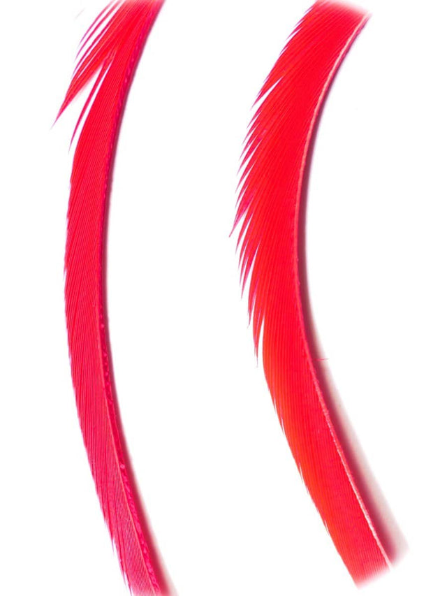goose_biots-crimson.jpg