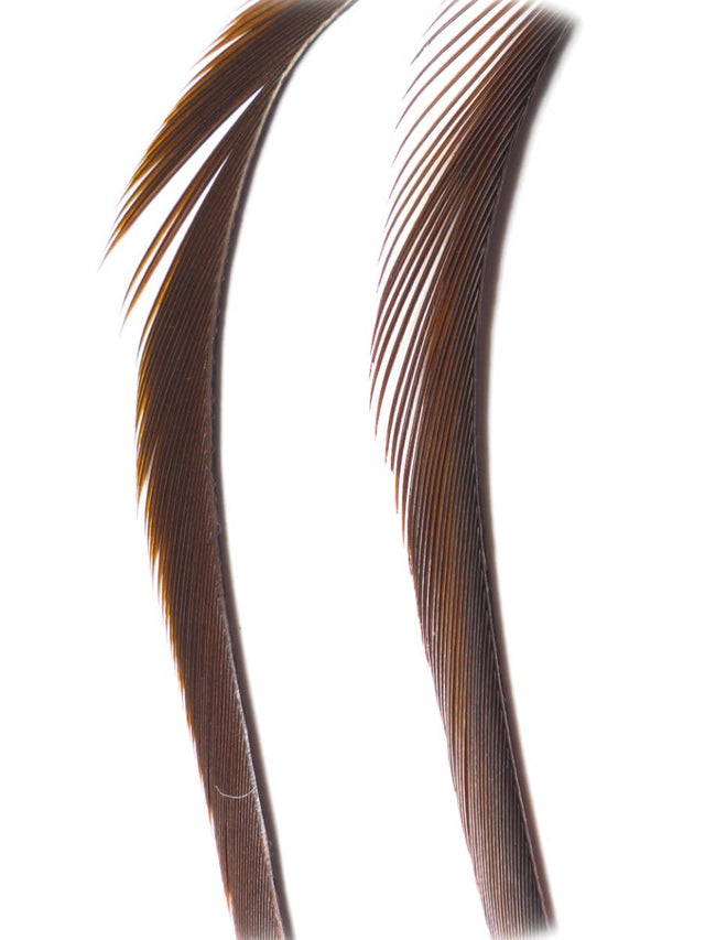 goose_biots-dark_brown.jpg