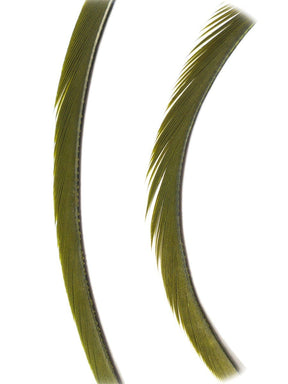 goose_biots-dk_olive.jpg