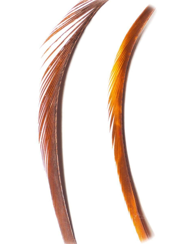 goose_biots-fiery_brown.jpg