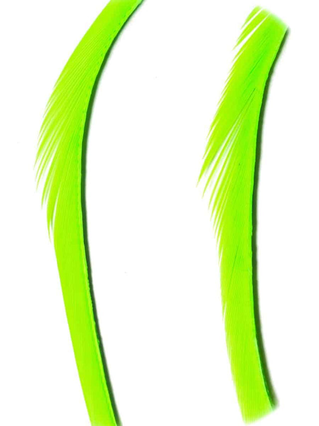 goose_biots-fl_green.jpg