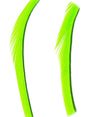 goose_biots-fl_green.jpg