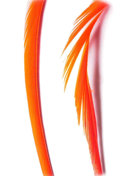 goose_biots-fl_orange.jpg