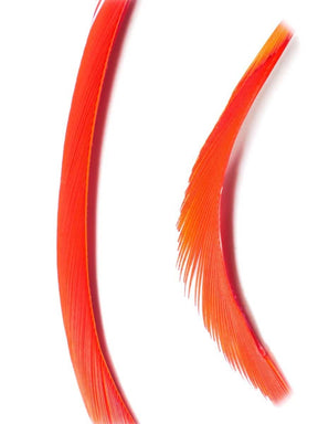 goose_biots-fl_red.jpg