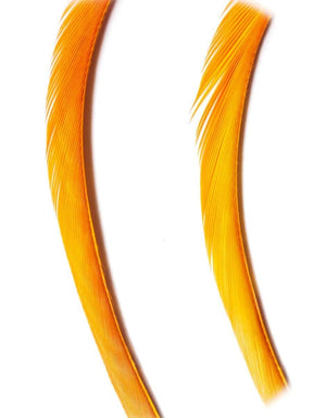 goose_biots-ginger.jpg
