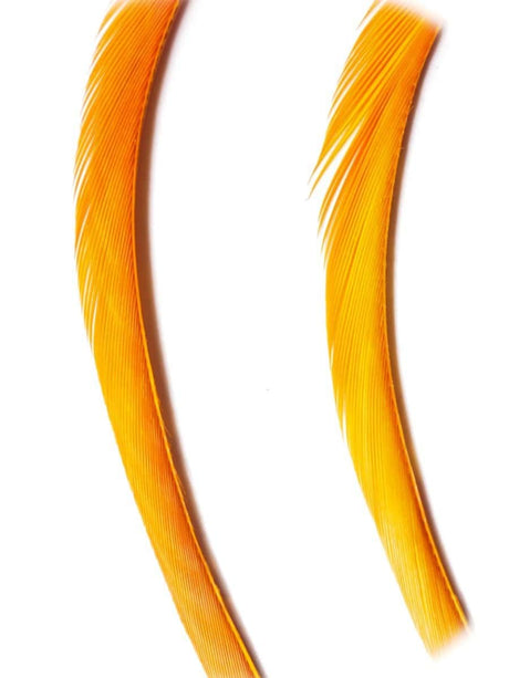 goose_biots-ginger.jpg