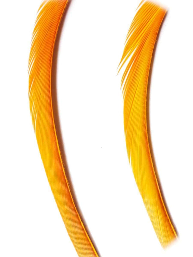 goose_biots-ginger.jpg