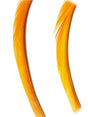 goose_biots-ginger.jpg