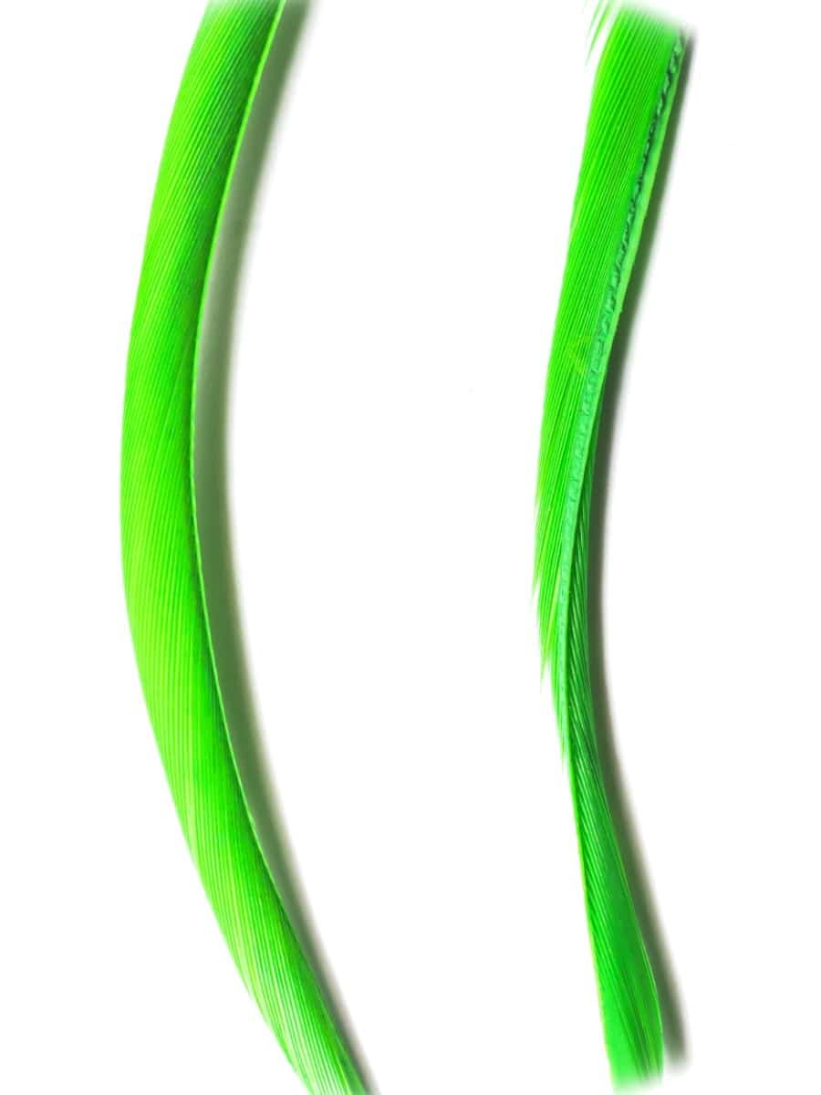 goose_biots-green_highlander.jpg