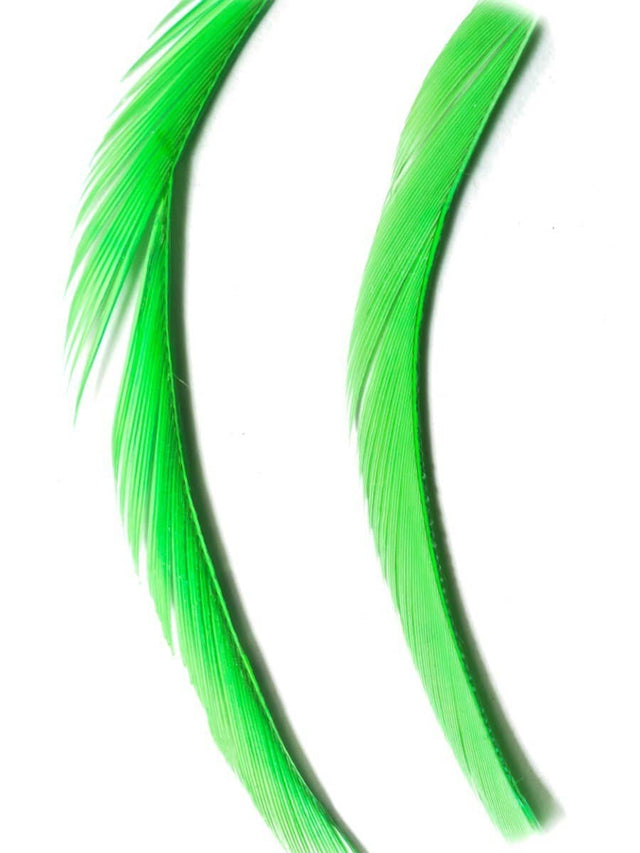 goose_biots-insect_green.jpg