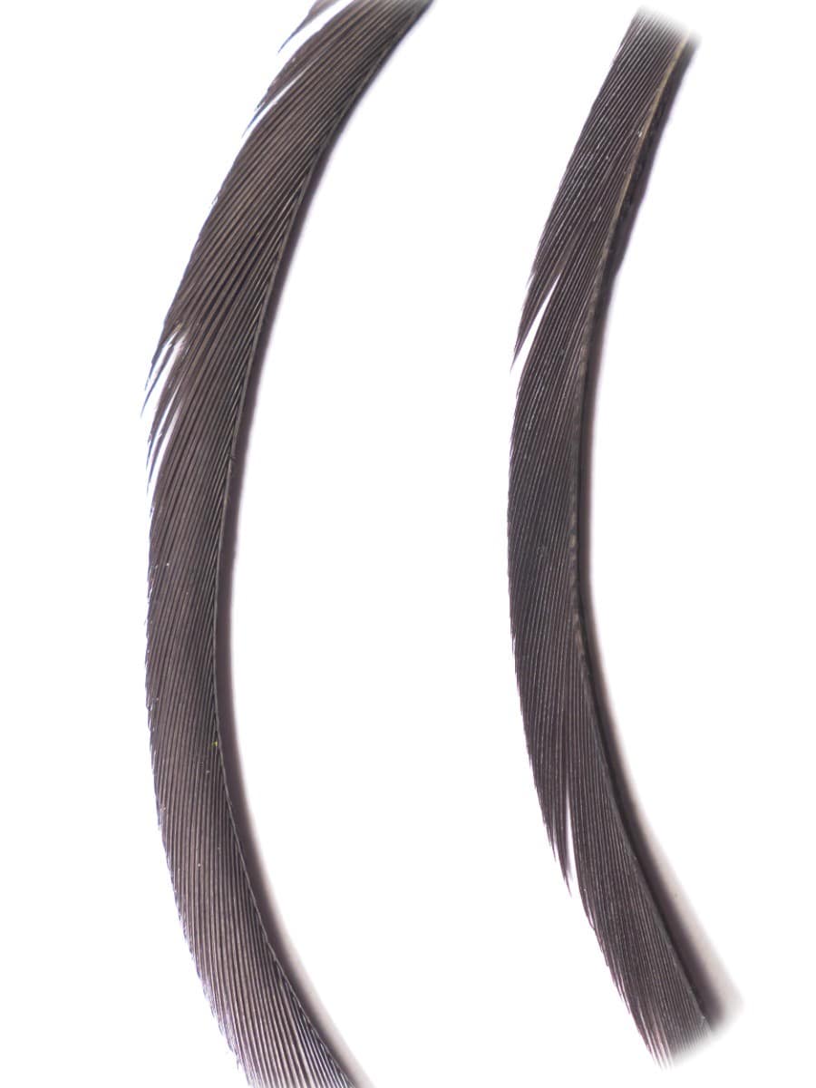 goose_biots-iron_blue.jpg