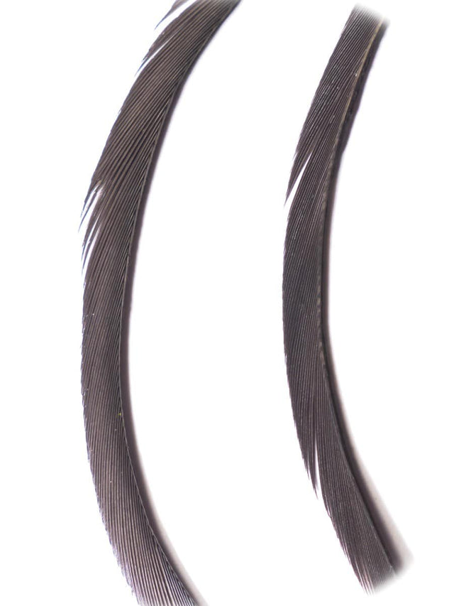 goose_biots-iron_blue.jpg