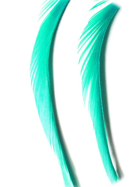 goose_biots-kingfisher.jpg