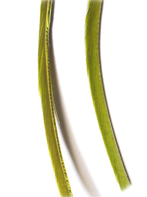 goose_biots-medium_olive.jpg