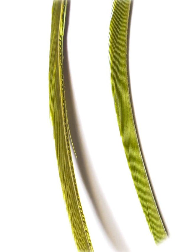 goose_biots-medium_olive.jpg