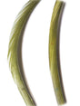 goose_biots-olive_dun.jpg