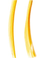 goose_biots-sunburst_yellow.jpg