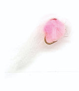 gub02_1.jpg