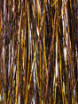 h20_mulitmix_flash-black_gold.jpg
